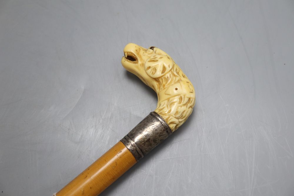 A Victorian ivory hounds head handle walking cane